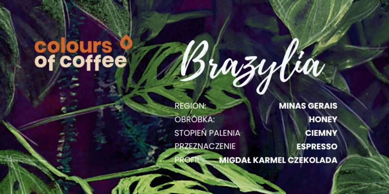 kawa ziarnista brazylia minas gerais colours of coffee